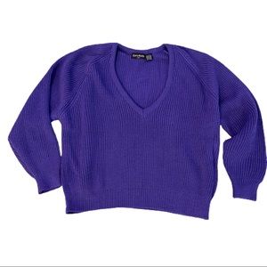 Vintage Curry Knits V-Neck Sweater 44 (18W) Purple